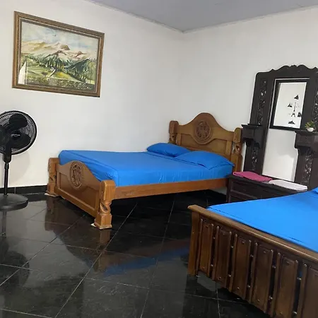 Pensión Casa Del Prado 3*